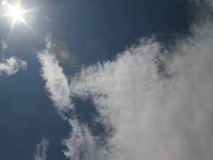 IMG_4023.JPG